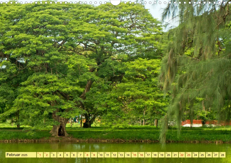 2025 A3 Farbzauber Natur -Grün