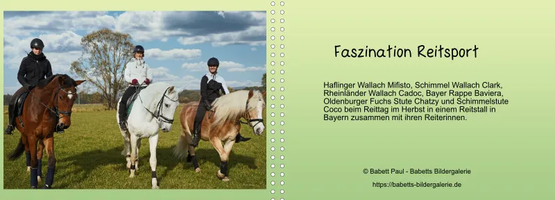 Fotoalbum A4 - Faszination Reitsport