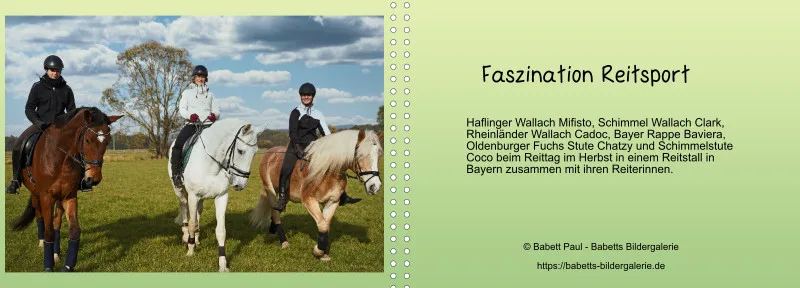 Fotoalbum A4 - Faszination Reitsport