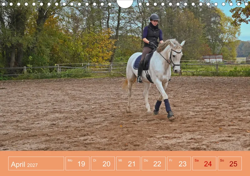 2027 A4 Faszination Reitsport - Wochenkalender