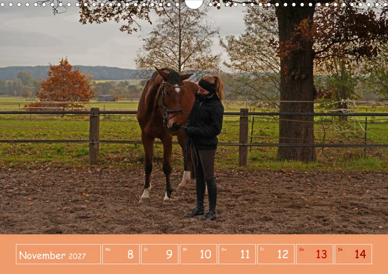 2027 A3 Faszination Reitsport - Wochenkalender