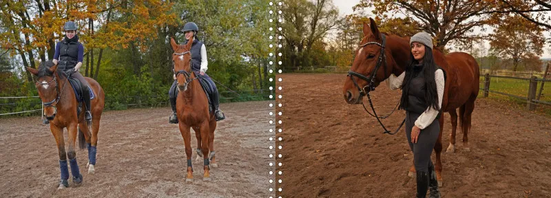Fotoalbum A4 - Faszination Reitsport