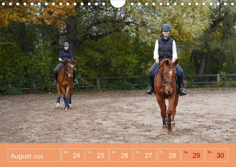 2026 A4 Faszination Reitsport - Wochenkalender
