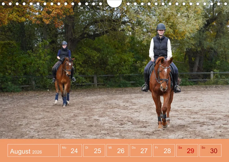 2026 A4 Faszination Reitsport - Wochenkalender