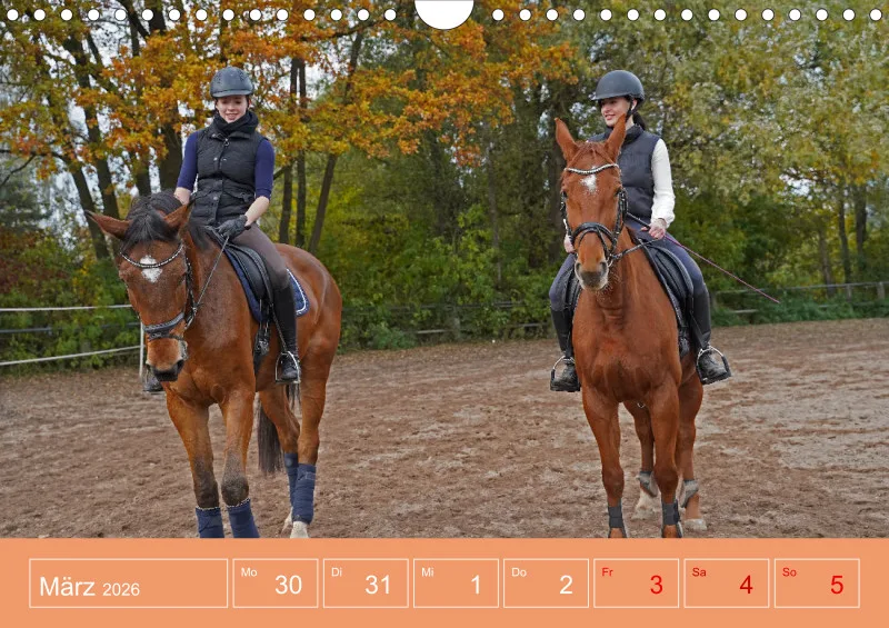 2026 A4 Faszination Reitsport - Wochenkalender