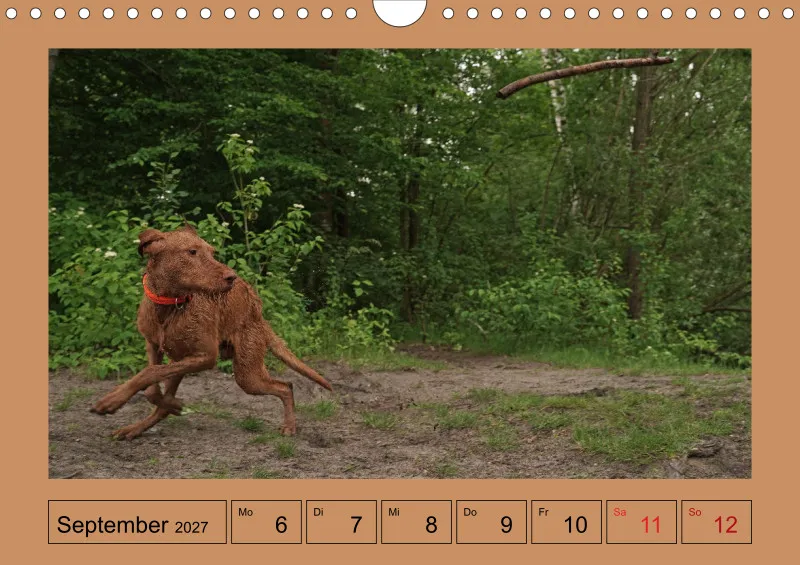 2027 A4 Wochenkalender Faszination Magyar Vizsla