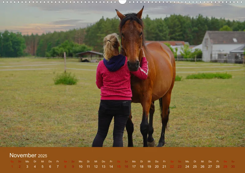 2025 A2 Faszination Trakehner
