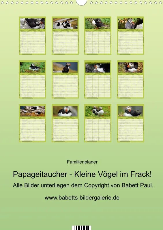 2027 A3 Papageitaucher-Kleine Vögel im Frack!