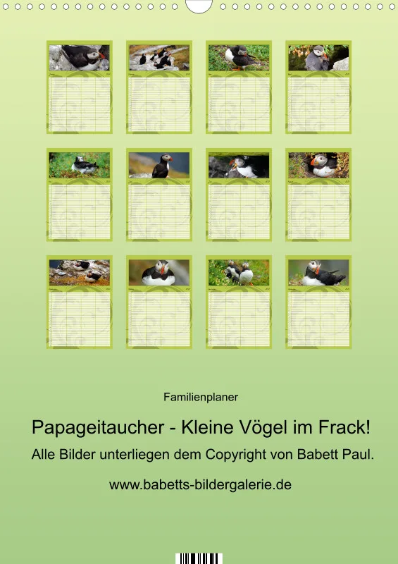 2027 A3 Papageitaucher-Kleine Vögel im Frack!