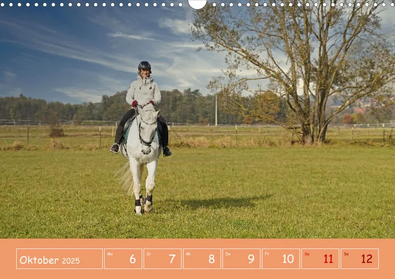 2025 A3 Faszination Reitsport - Wochenkalender