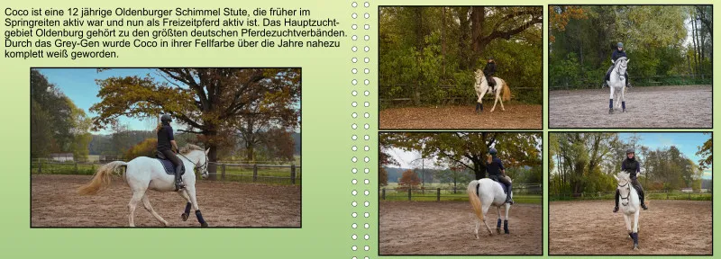 Fotoalbum A4 - Faszination Reitsport