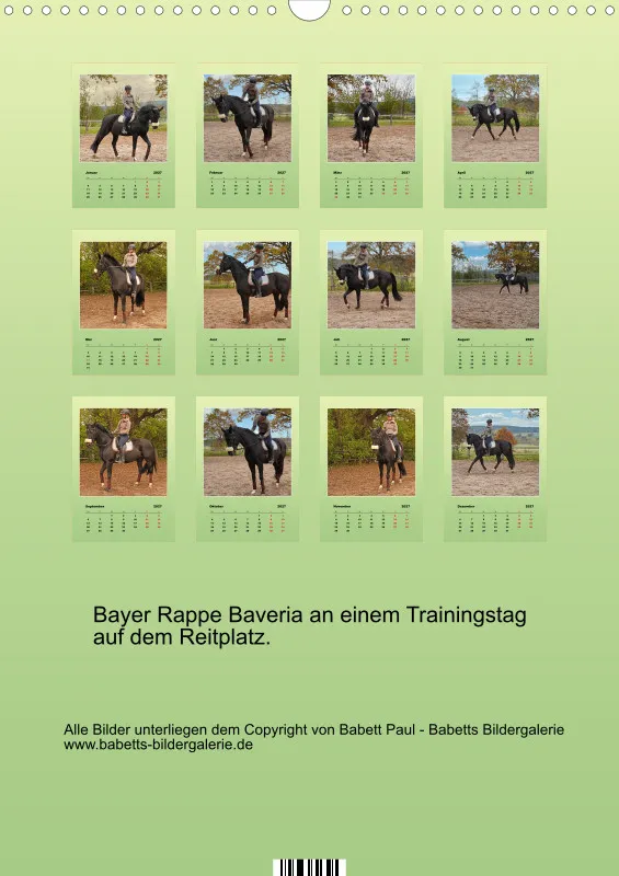 2027 A3 Faszination Bayer