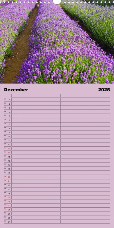 2025 Familienplaner Rundreise in England