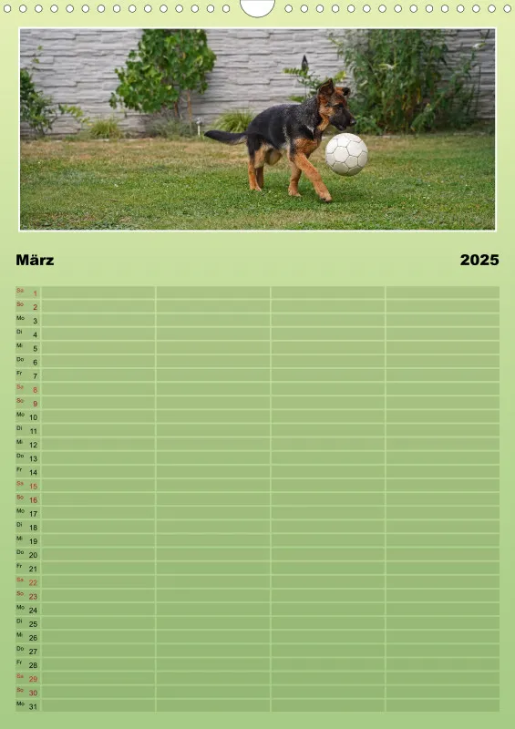 2025 A3 Familienplaner Schäferhündin