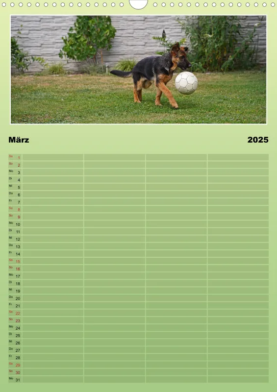 2025 A3 Familienplaner Schäferhündin