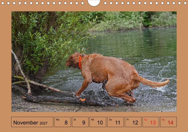 2027 A4 Wochenkalender Faszination Magyar Vizsla