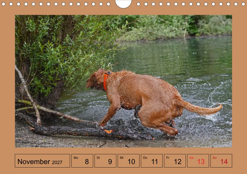 2027 A4 Wochenkalender Faszination Magyar Vizsla