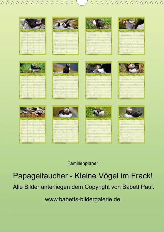 2026 A3 Papageitaucher-Kleine Vögel im Frack!
