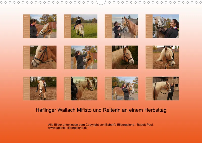 2025 Planer A3 Faszination Haflinger