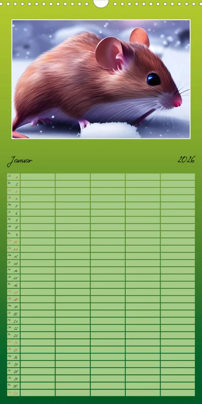 2026 Familienplaner Der Maus Kalender