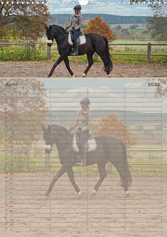 2026 A3 Faszination Reitsport - Familienplaner