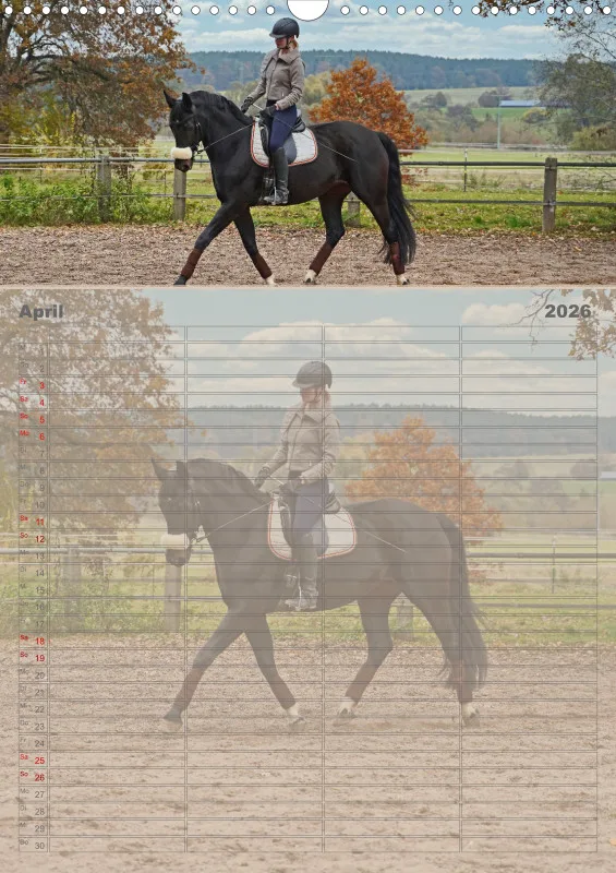2026 A3 Faszination Reitsport - Familienplaner