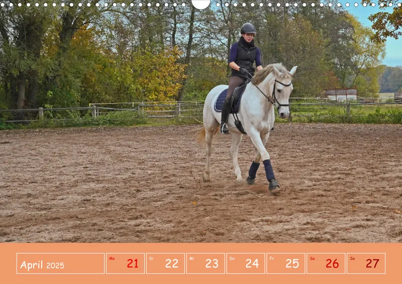 2025 A3 Faszination Reitsport - Wochenkalender