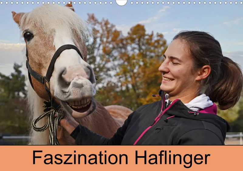 2027 A3 Planer Haflinger Mifisto und Reiterin