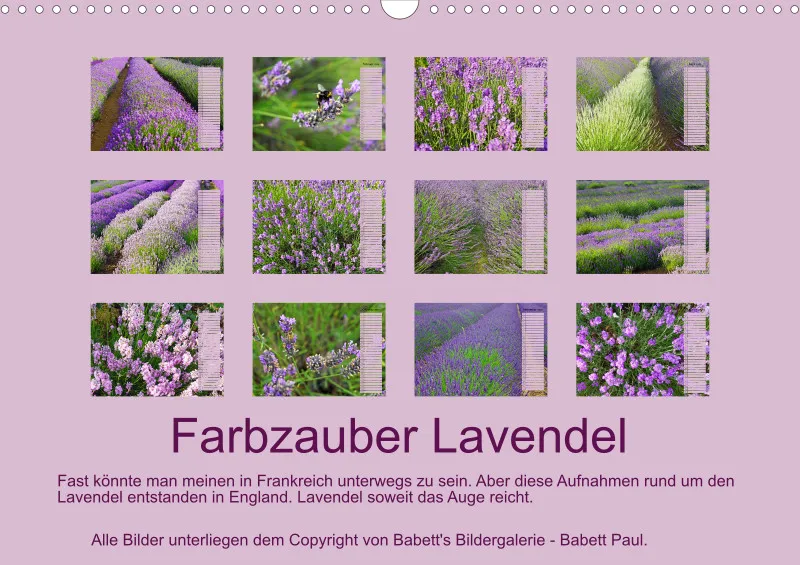 2025 A3 Terminplaner Farbzauber Lavendel