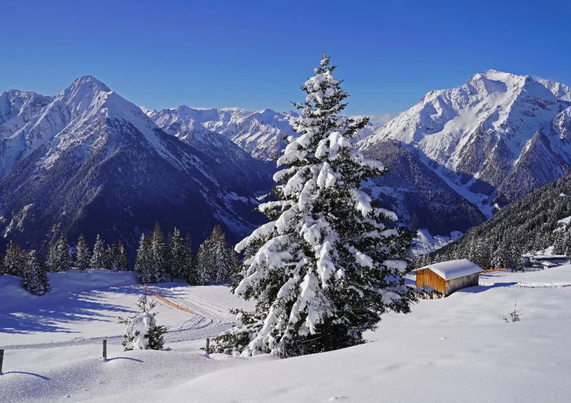 Puzzle 1000 Teile Alpenidylle im Tiefschnee