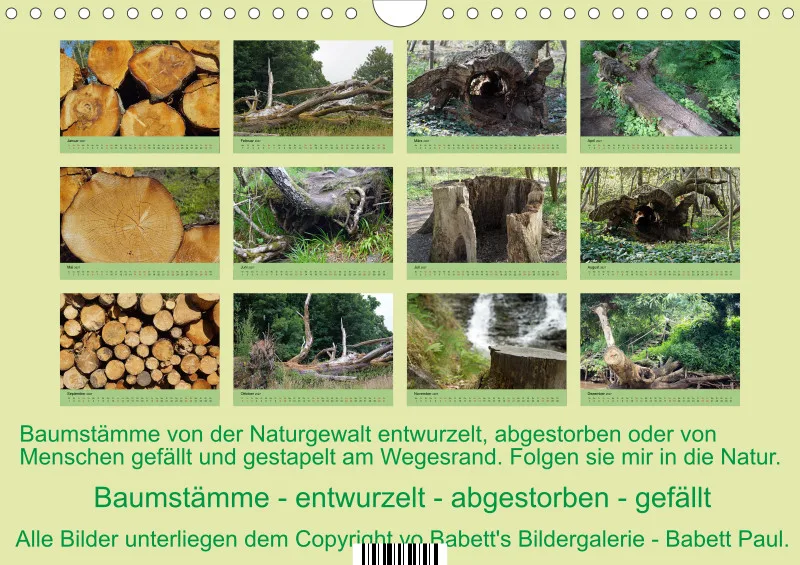 2027 A4 Baumstämme entwurzelt - abgestorben - gefällt