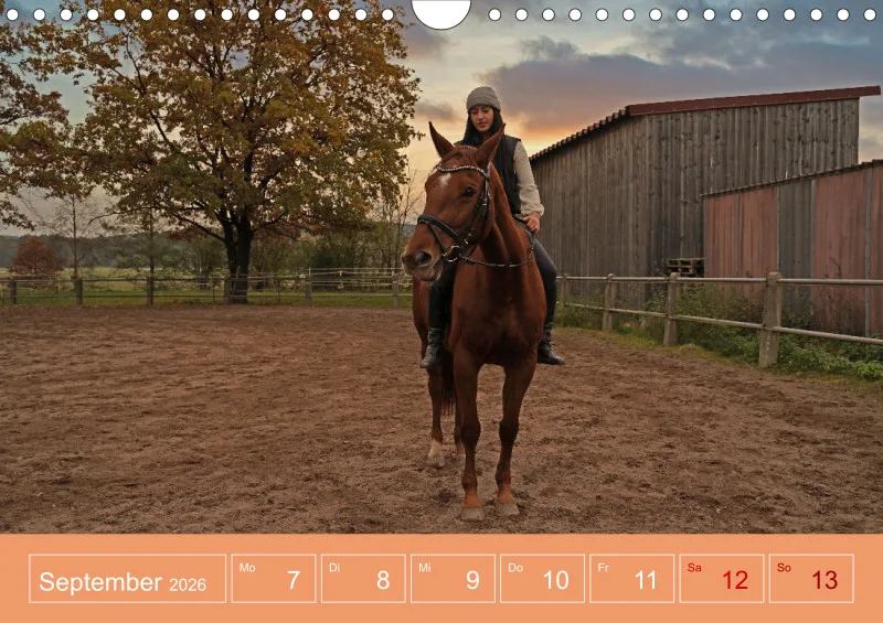 2026 A4 Faszination Reitsport - Wochenkalender