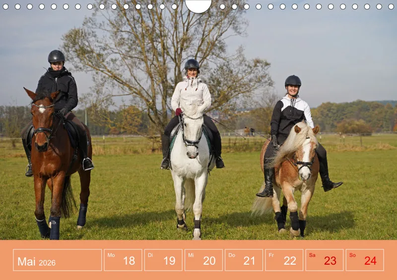 2026 A4 Faszination Reitsport - Wochenkalender