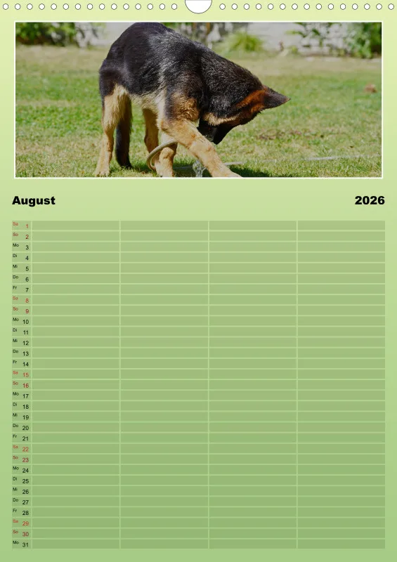 2026 A3 Familienplaner Schäferhündin