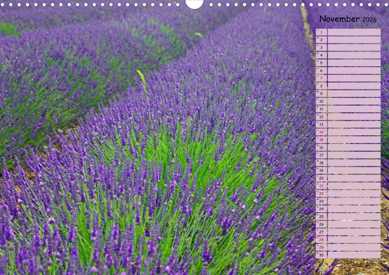 2026 A3 Terminplaner Farbzauber Lavendel