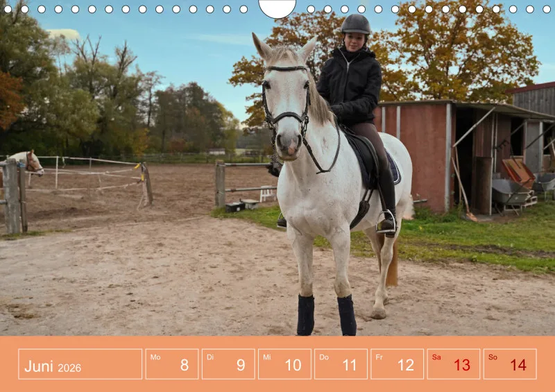 2026 A4 Faszination Reitsport - Wochenkalender