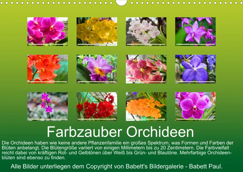 2025 A3 Farbzauber Orchideen