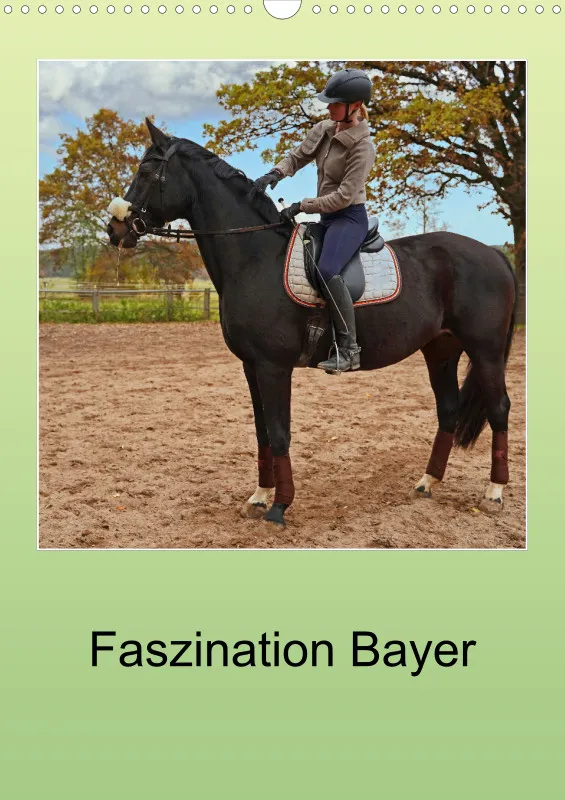 2025 A3 Faszination Bayer