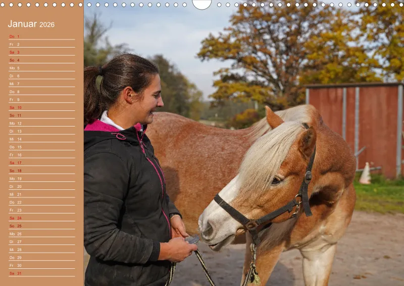 2026 A3 Faszination Haflinger