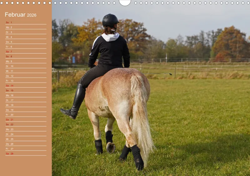 2026 A3 Faszination Haflinger