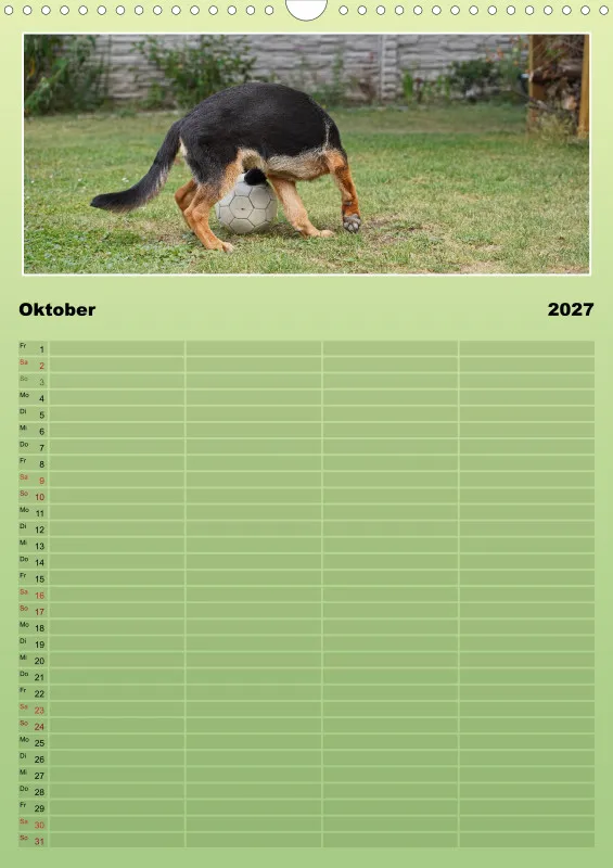 2027 A3 Familienplaner Schäferhündin