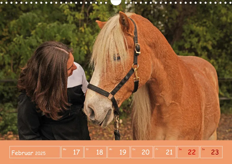 2025 A3 Faszination Reitsport - Wochenkalender