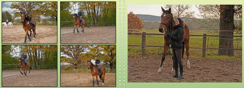 Fotoalbum A4 - Faszination Reitsport