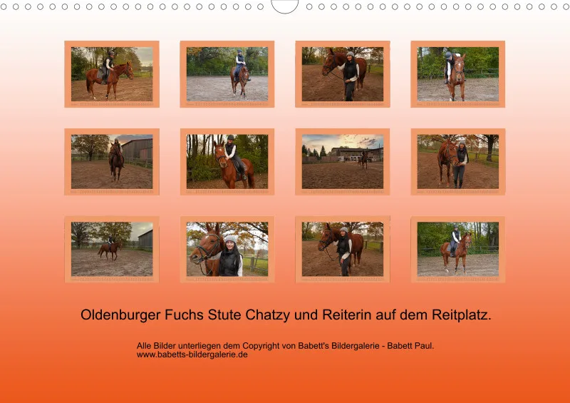 2025 A3 - Faszination Oldenburger