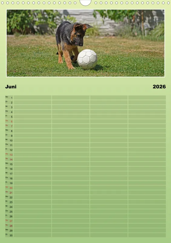 2026 A3 Familienplaner Schäferhündin