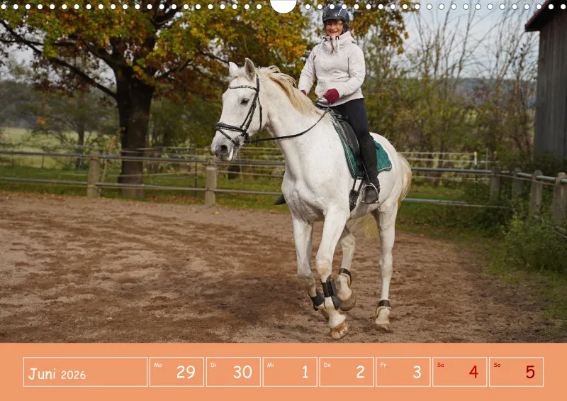 2026 A3 Faszination Reitsport - Wochenkalender