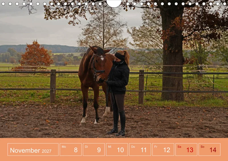 2027 A4 Faszination Reitsport - Wochenkalender