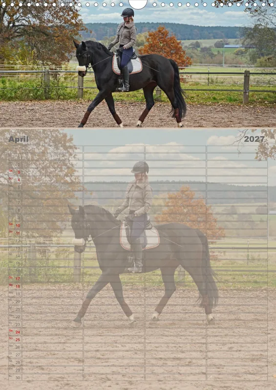 2027 A3 Faszination Reitsport - Familienplaner