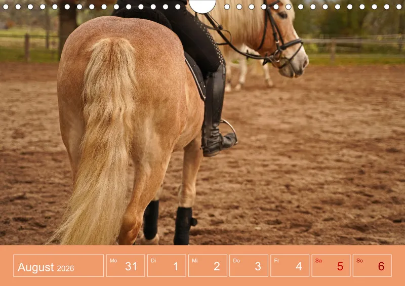 2026 A4 Faszination Reitsport - Wochenkalender
