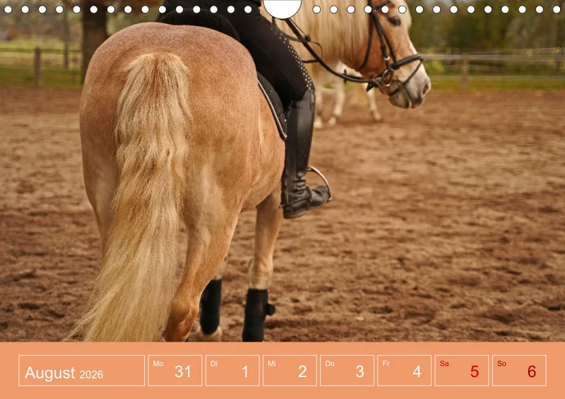 2026 A4 Faszination Reitsport - Wochenkalender